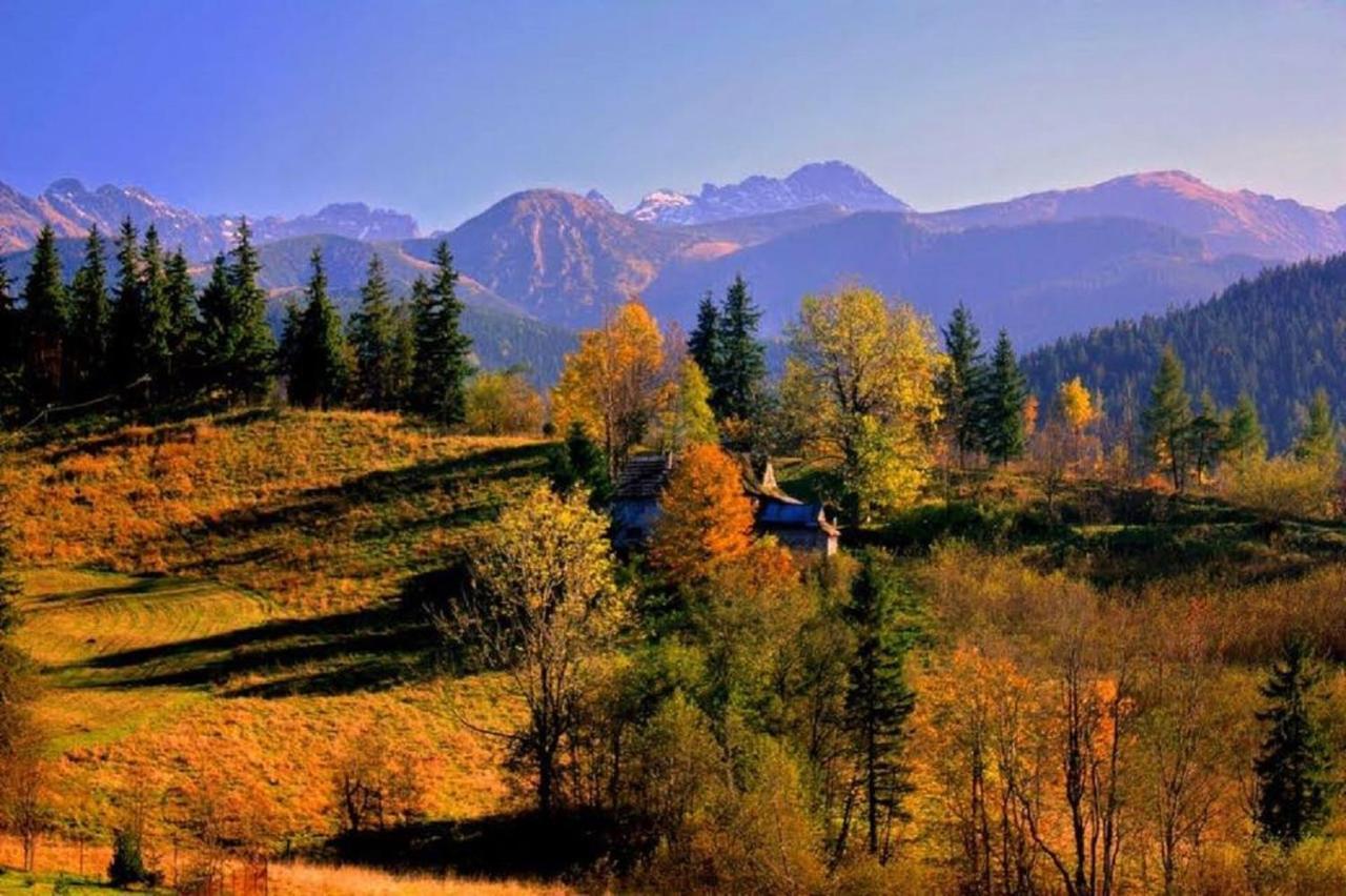 Willa Strazyska Zakopane Exterior foto